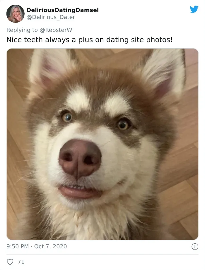Woman On Twitter Asks What People’s Dogs' Dating Profile Pics Would Be, 30 People Share Photos