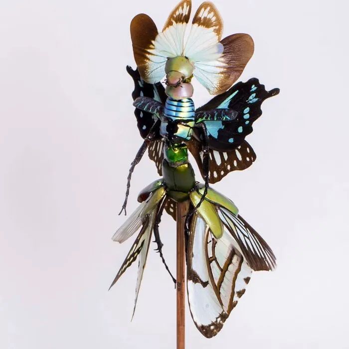 Here Are 18 Surreal Bug Fairies Made From Dead Insects Made By This Amsterdam-Based Artist