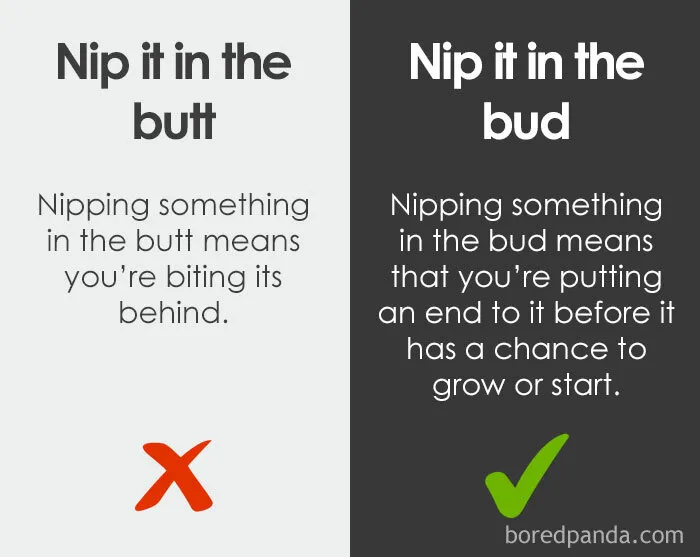 30 Phrases Many People Don't Know They're Using Incorrectly