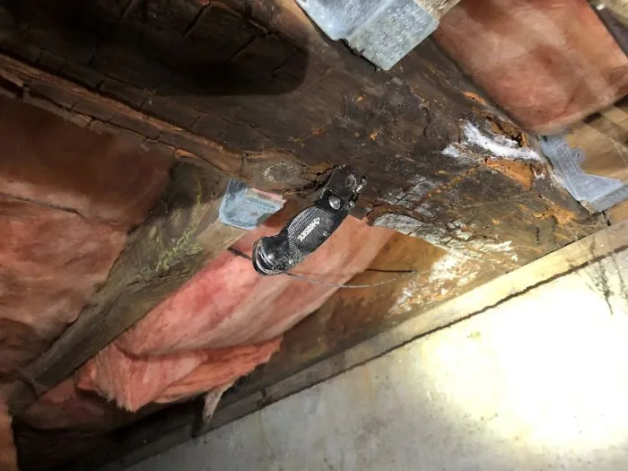30 Times Structural Inspectors Found Surprising Things