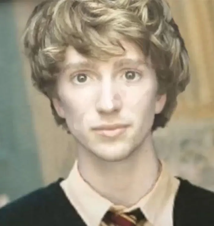 Edward “Teddy” Lupin Would Often Visit Harry At His Home And He Was Actually Raised By His Grandmother Andromeda Tonks