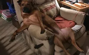 Taking “Friendly” Too Far...