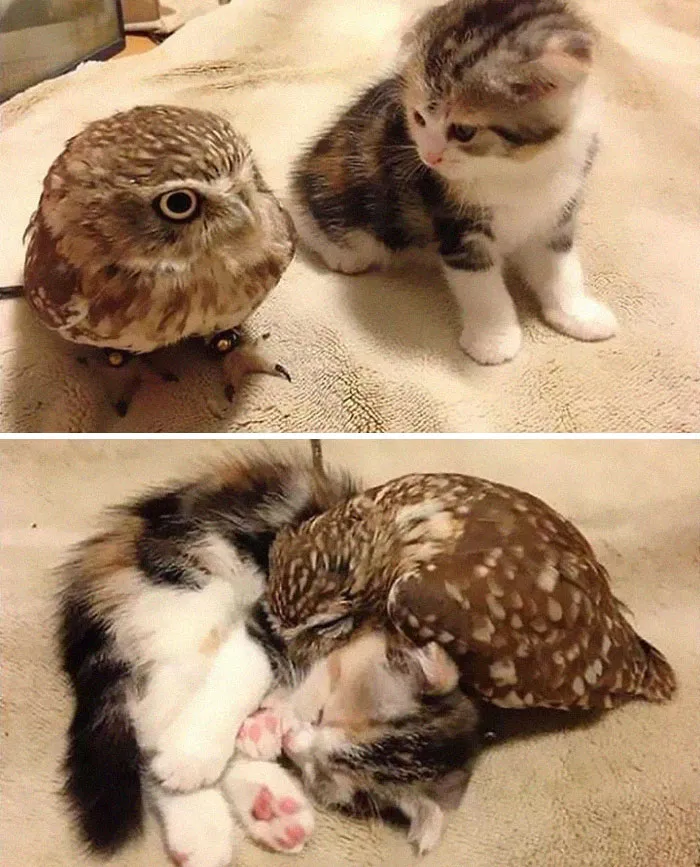 Friendship Goals