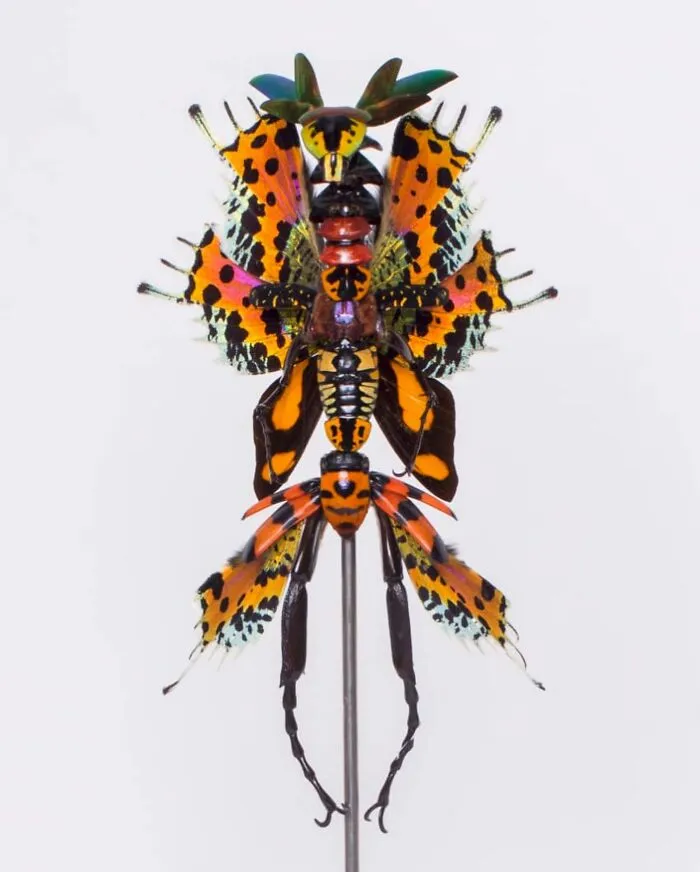 Here Are 18 Surreal Bug Fairies Made From Dead Insects Made By This Amsterdam-Based Artist