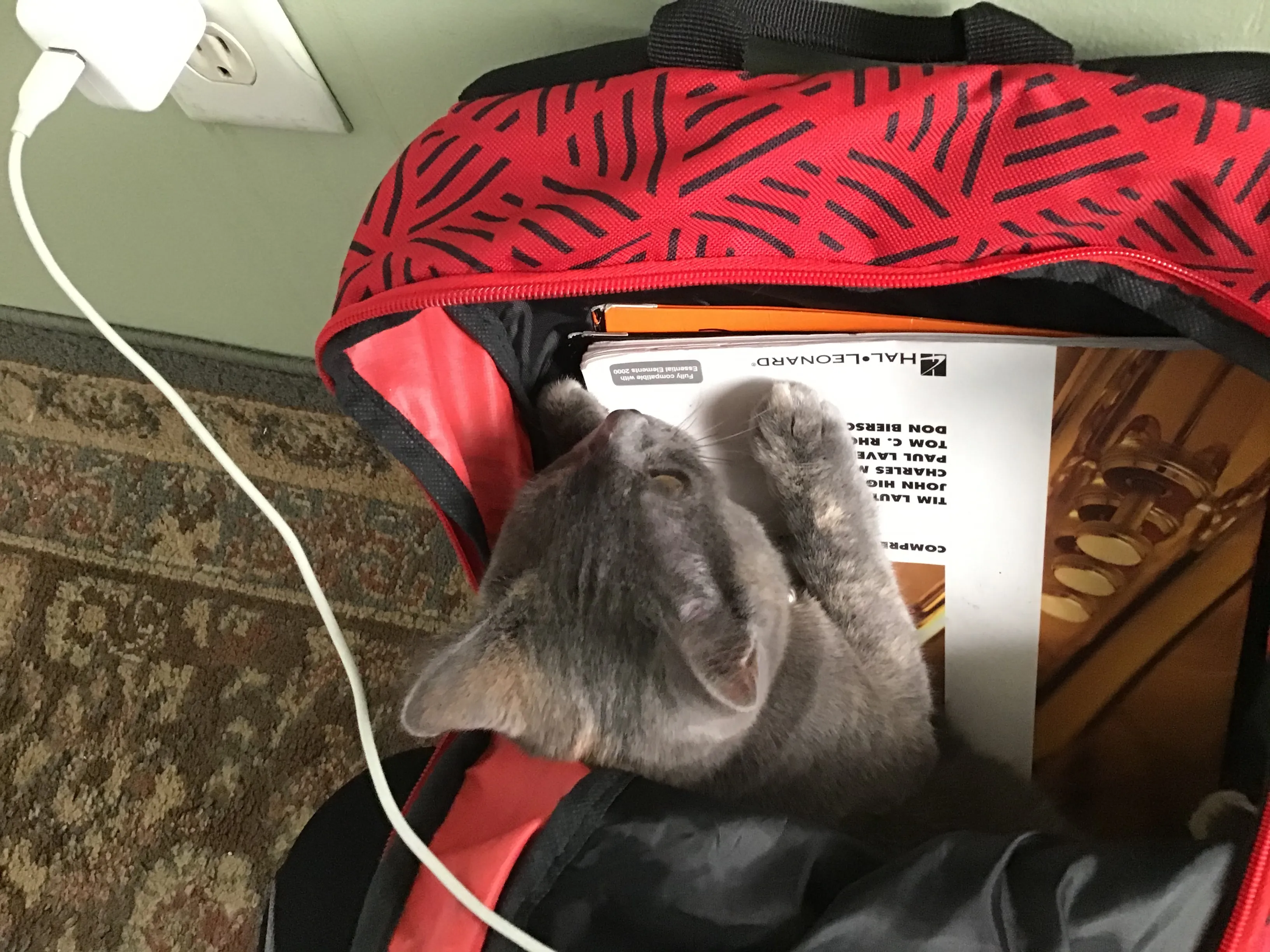 I’m Ready For School!