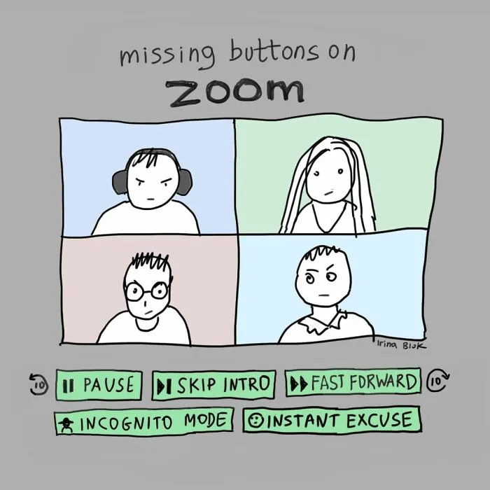 Missing Buttons On Zoom