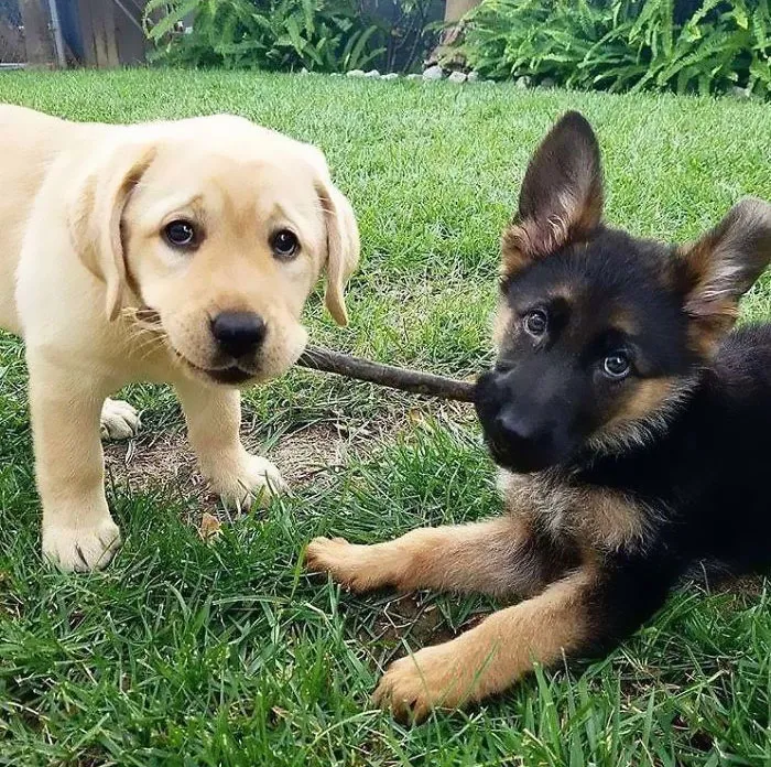 Making New Friends