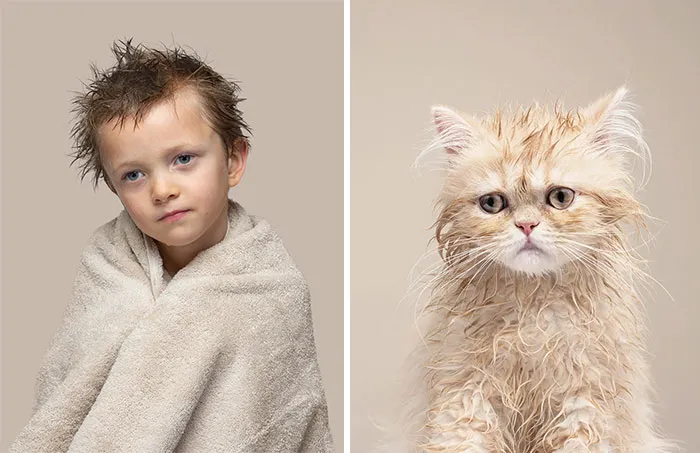Arlo And Buttercup (Cream Persian)