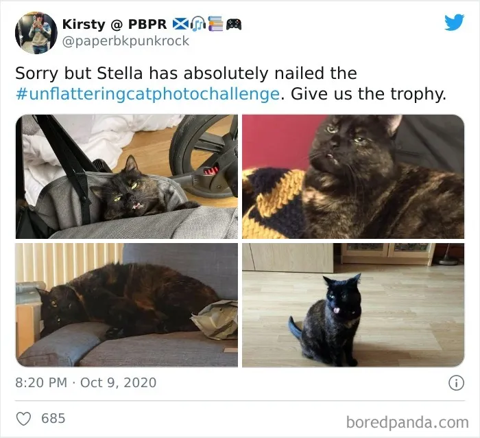 The 'Unflattering Cat Photo Challenge' Is Trending And It's Hilarious How Unphotogenic These Cats Are