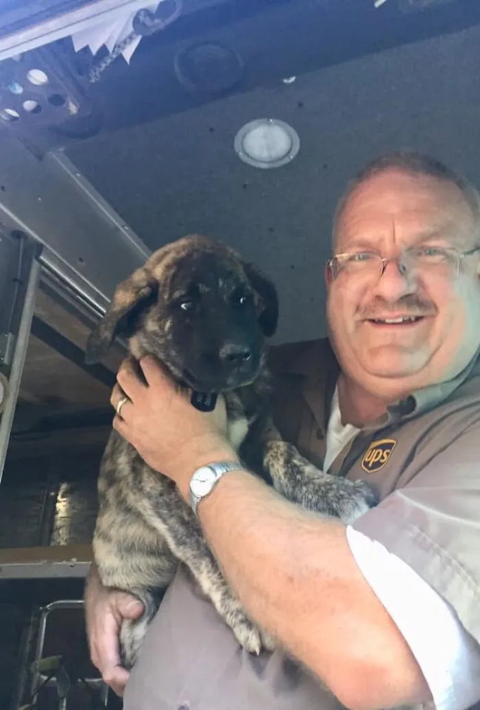 UPS Driver Captures The Cutest 'Clients' He Meets On Routes, And People Can’t Get Enough (30 Pics)