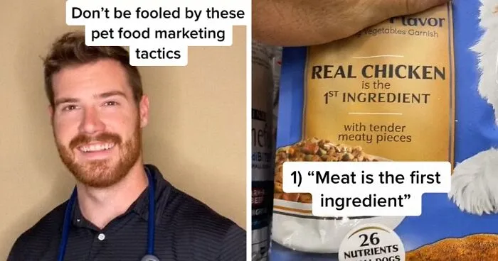 TikTok-Famous Vet Addresses The Most Common Mistakes Pet Owners Are Making