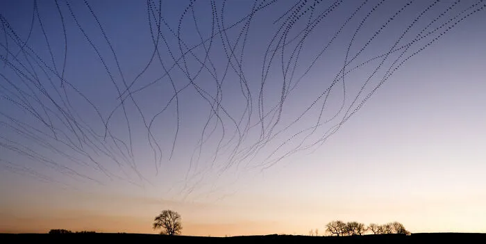 Highly Commended: 'Trails At Dusk' By Kathryn Cooper