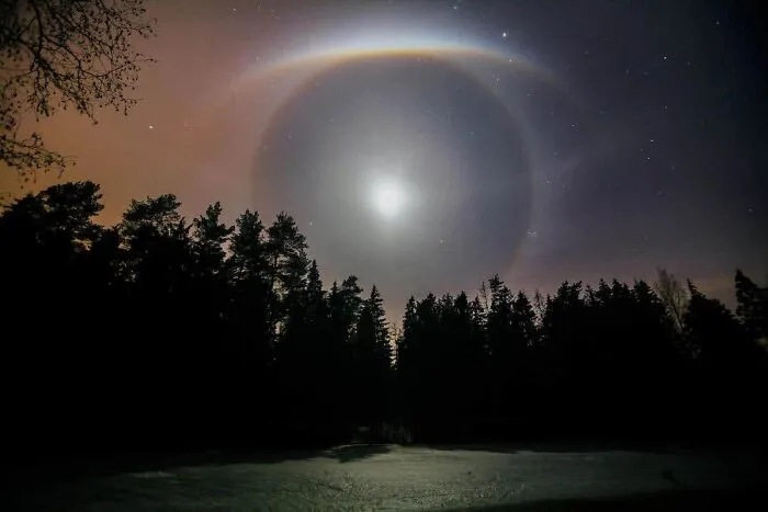 Finalist 'Halo' By Mikhail Kapychka