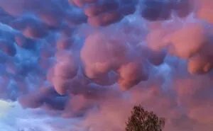 The Weather Photographer Of The Year Winners Showcase The Magnificence Of Our World (28 Pics)