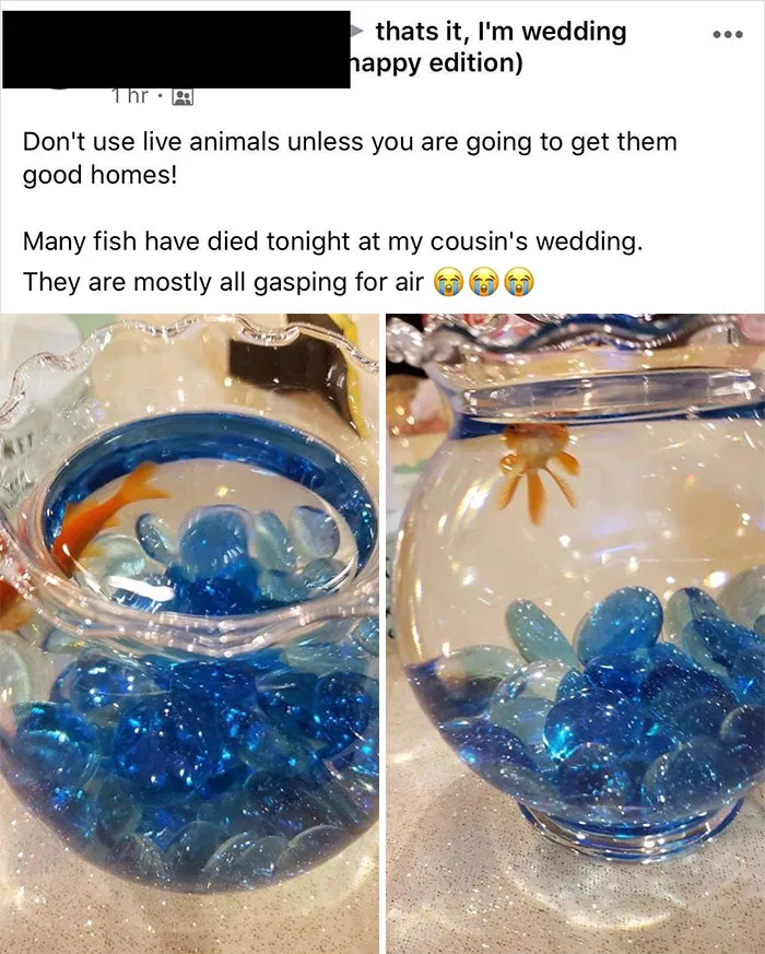Yikes Yikes Yikes
