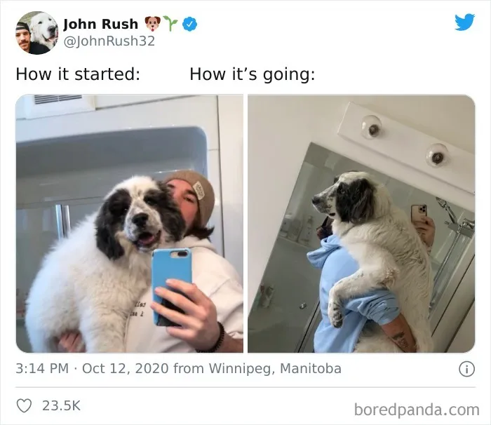 People Are Sharing Their Most "Feel-Good" ‘How It Started Vs. How It Ended’ Stories (42 New Pics)