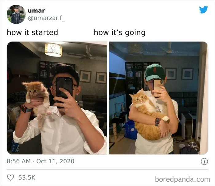 People Are Sharing Their Most "Feel-Good" ‘How It Started Vs. How It Ended’ Stories (42 New Pics)