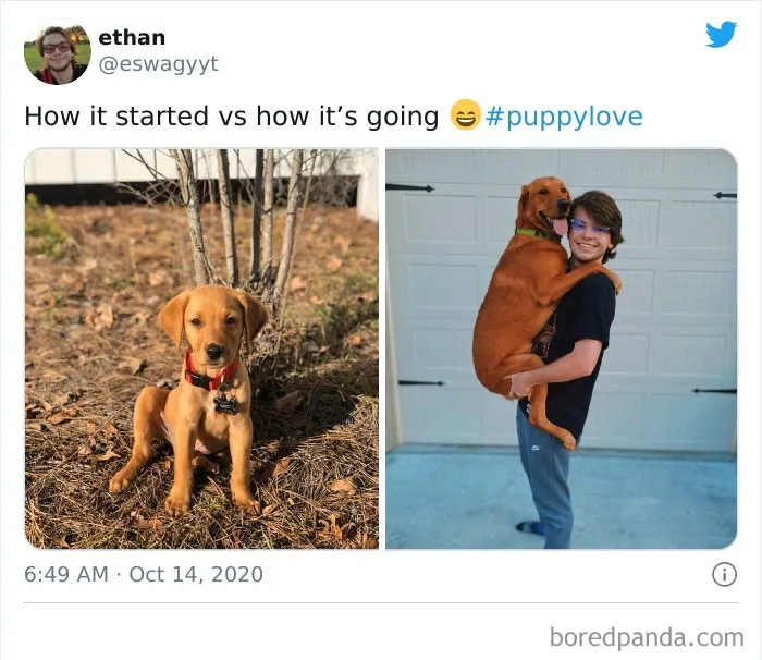 People Are Sharing Their Most "Feel-Good" ‘How It Started Vs. How It Ended’ Stories (42 New Pics)