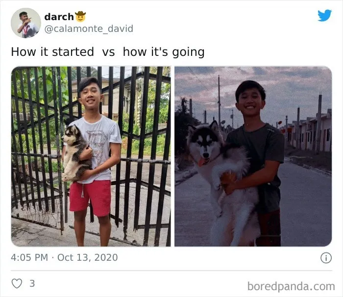 People Are Sharing Their Most "Feel-Good" ‘How It Started Vs. How It Ended’ Stories (42 New Pics)