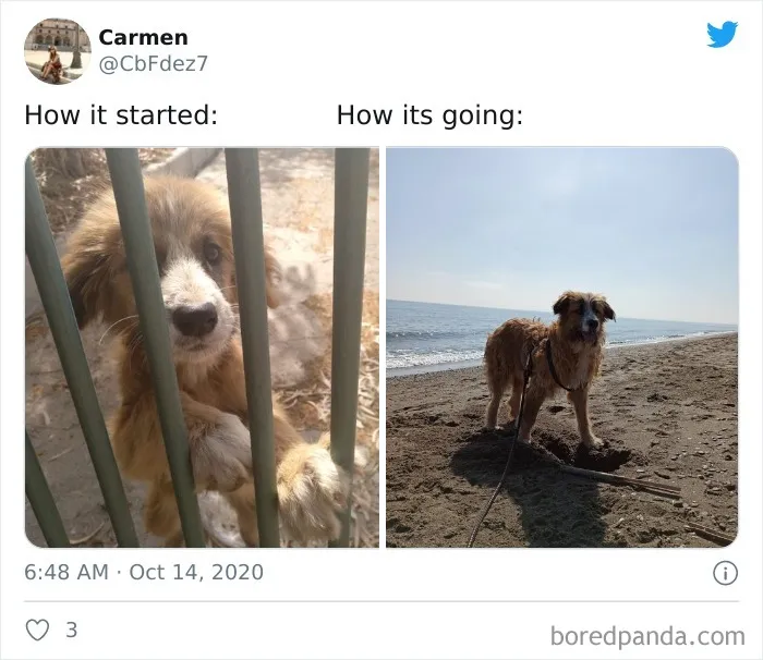 People Are Sharing Their Most "Feel-Good" ‘How It Started Vs. How It Ended’ Stories (42 New Pics)