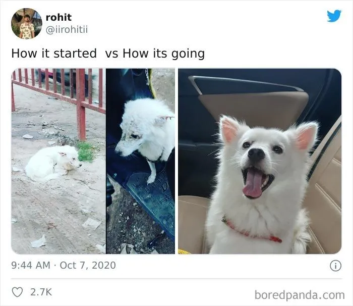 People Are Sharing Their Most "Feel-Good" ‘How It Started Vs. How It Ended’ Stories (42 New Pics)
