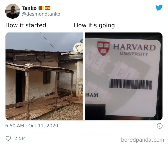 Cómo empezó / Cómo va
