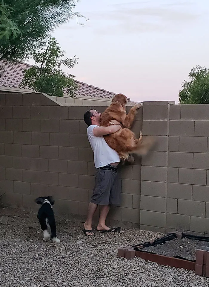 With The Whole Coronavirus Our Dog, Cooper Has Not Been Able To Play With Our Next-Door Neighbor's Dog, Lucy. My Husband Will Lift Cooper Up Just So He Can Say Hi To Lucy