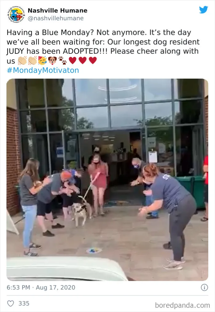 Cheers For Judy