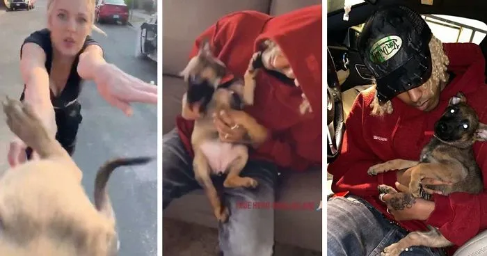 Esta mujer le arrojó un cachorro a un hombre, él se negó a devolvérselo y muestra lo feliz que es el perro ahora