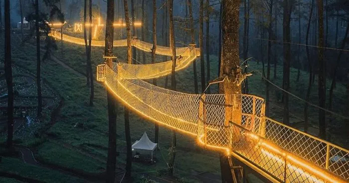 This Forest In Indonesia Is Home To A Magical Bridge Of Lights Suspended Among Trees