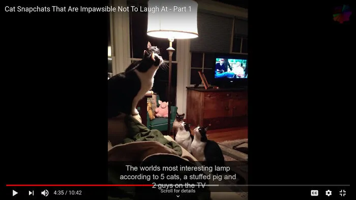 The Worlds Most Interesting Lamp