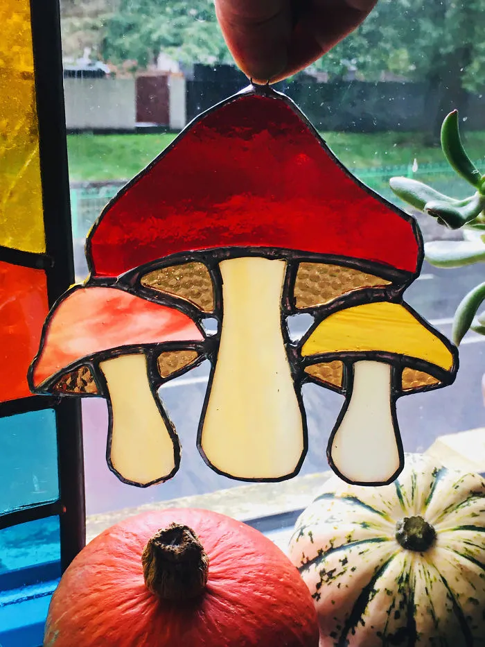 Magic Mushrooms
