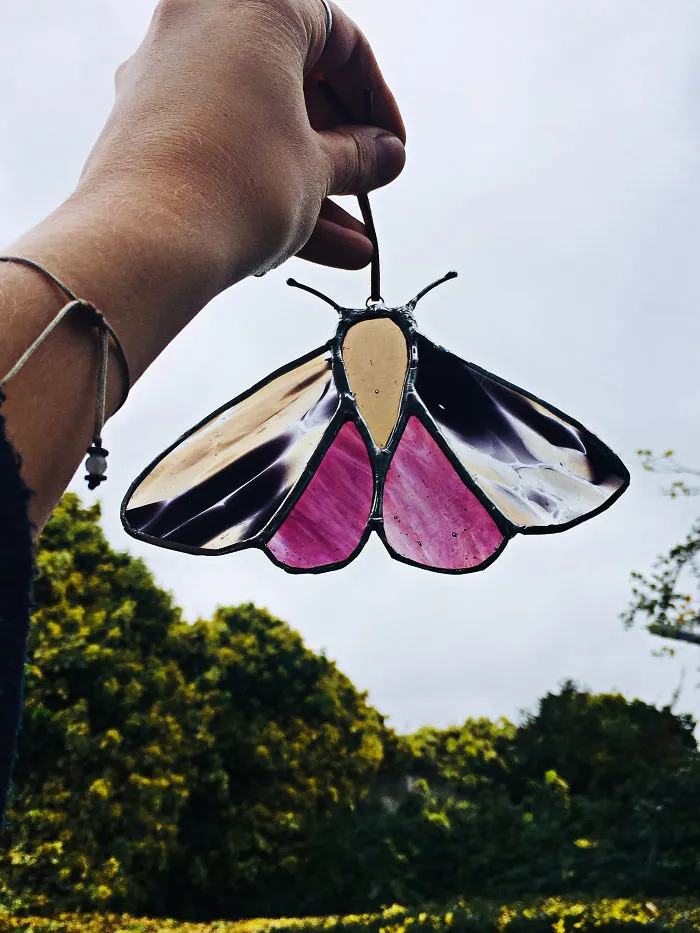 Spotty Moth
