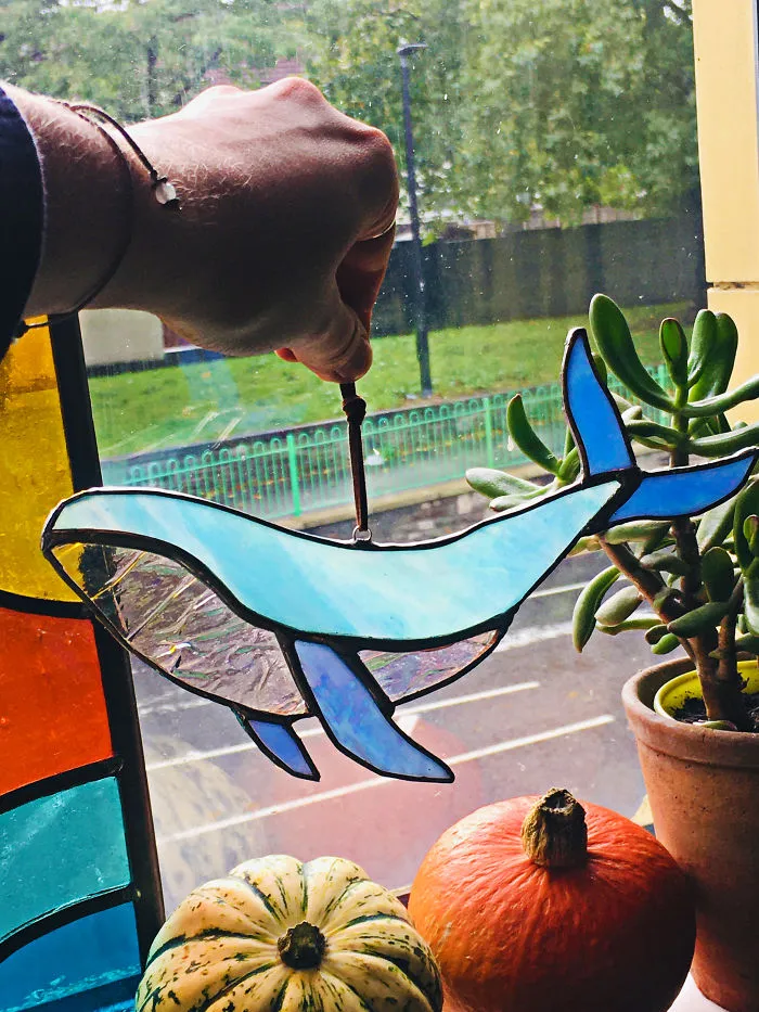 Whale