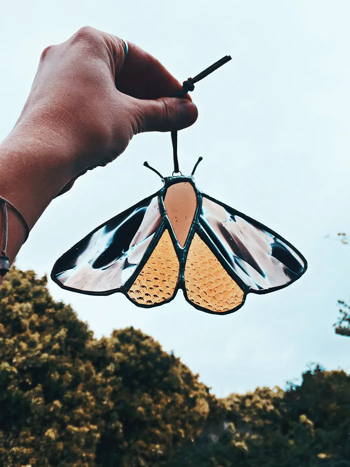 Amber Moth