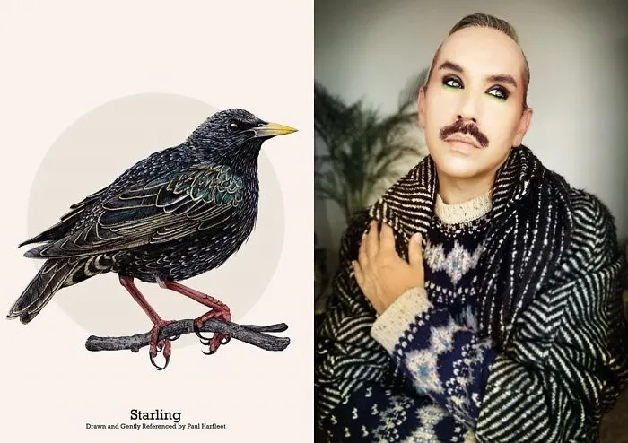 Starling