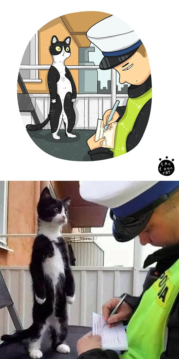 30 Of The Funniest Internet-Famous Cat Pics Get Illustrated By Tactooncat