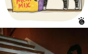 30 Of The Funniest Internet-Famous Cat Pics Get Illustrated By Tactooncat