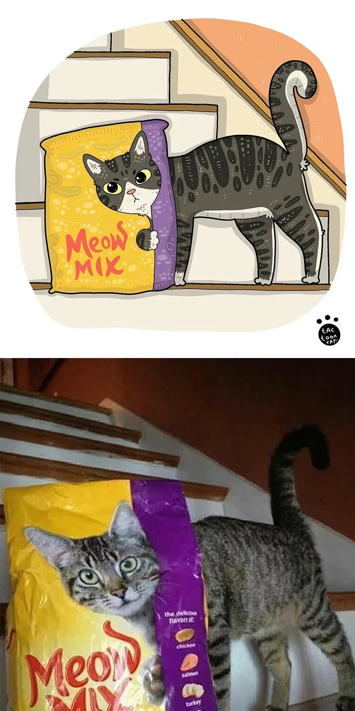 30 Divertidas fotos de gatos famosas en internet convertidas en ilustraciones, por Tactooncat