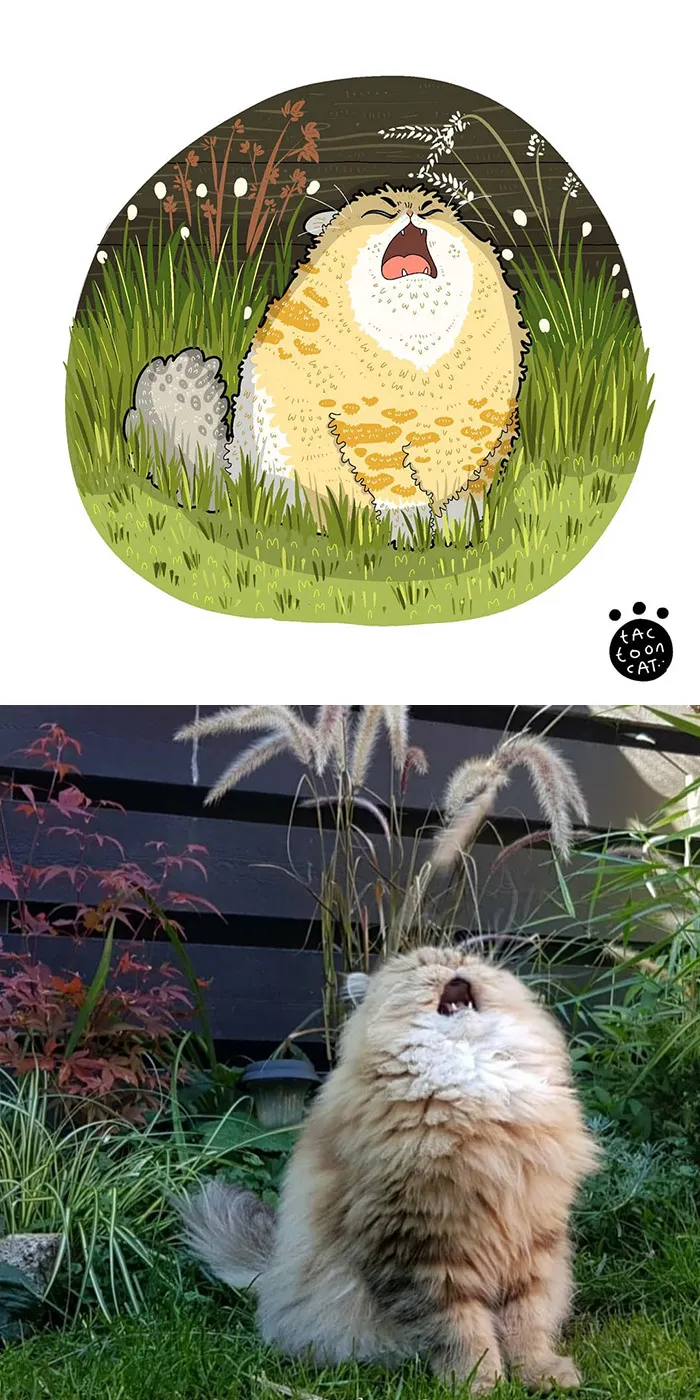 30 Of The Funniest Internet-Famous Cat Pics Get Illustrated By Tactooncat