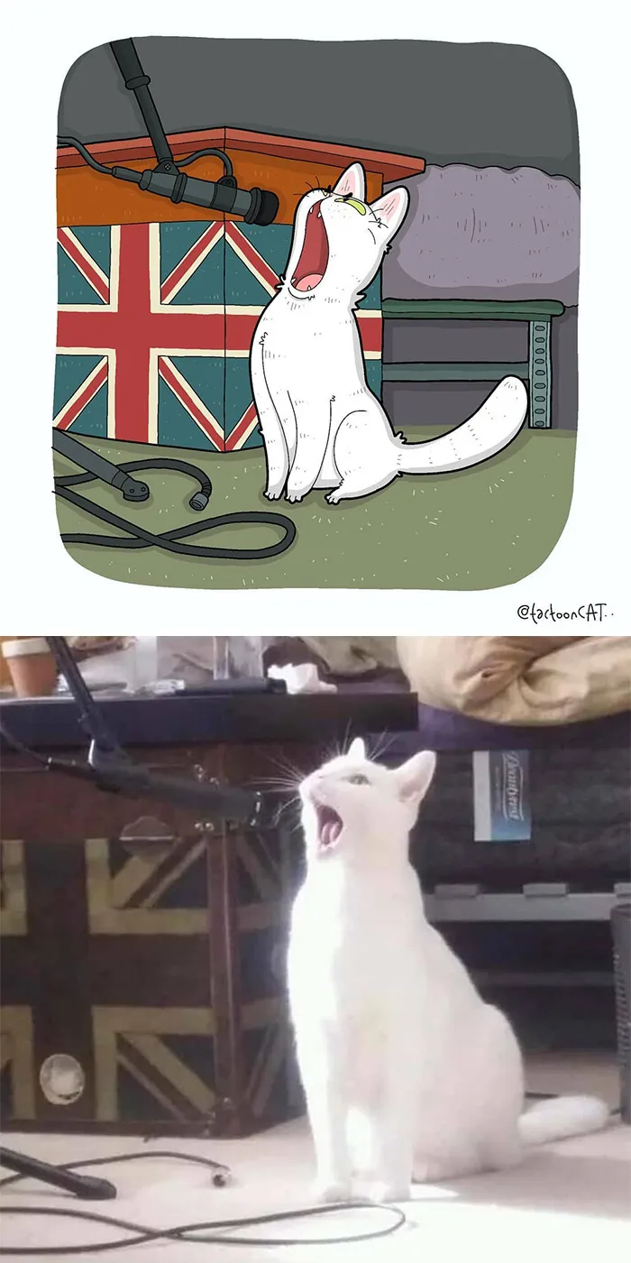 30 Of The Funniest Internet-Famous Cat Pics Get Illustrated By Tactooncat