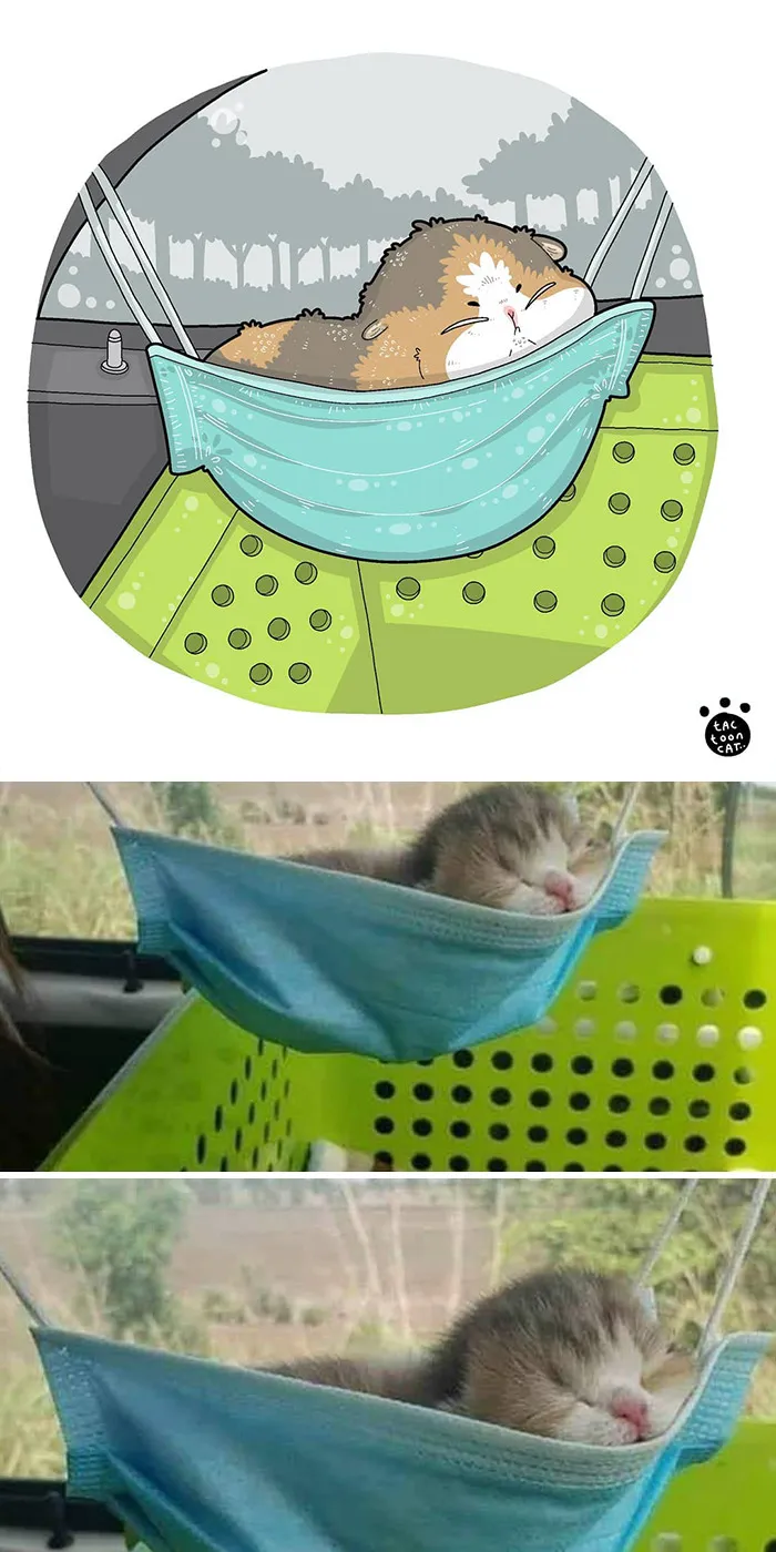 30 Of The Funniest Internet-Famous Cat Pics Get Illustrated By Tactooncat