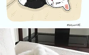30 Of The Funniest Internet-Famous Cat Pics Get Illustrated By Tactooncat
