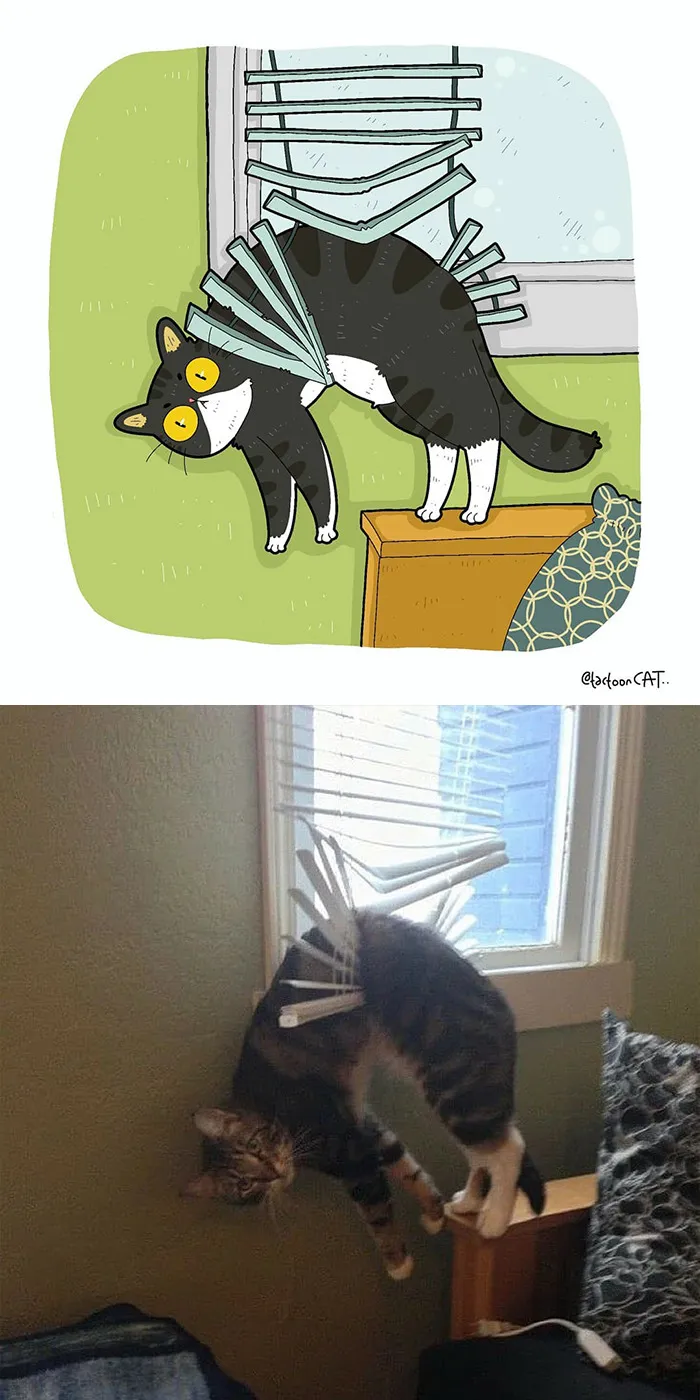 30 Of The Funniest Internet-Famous Cat Pics Get Illustrated By Tactooncat