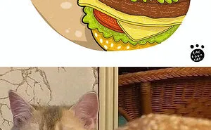 30 Of The Funniest Internet-Famous Cat Pics Get Illustrated By Tactooncat