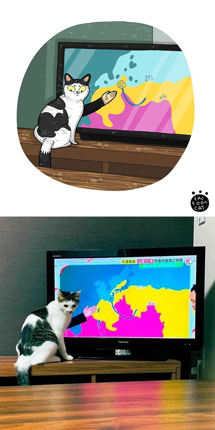 30 Of The Funniest Internet-Famous Cat Pics Get Illustrated By Tactooncat