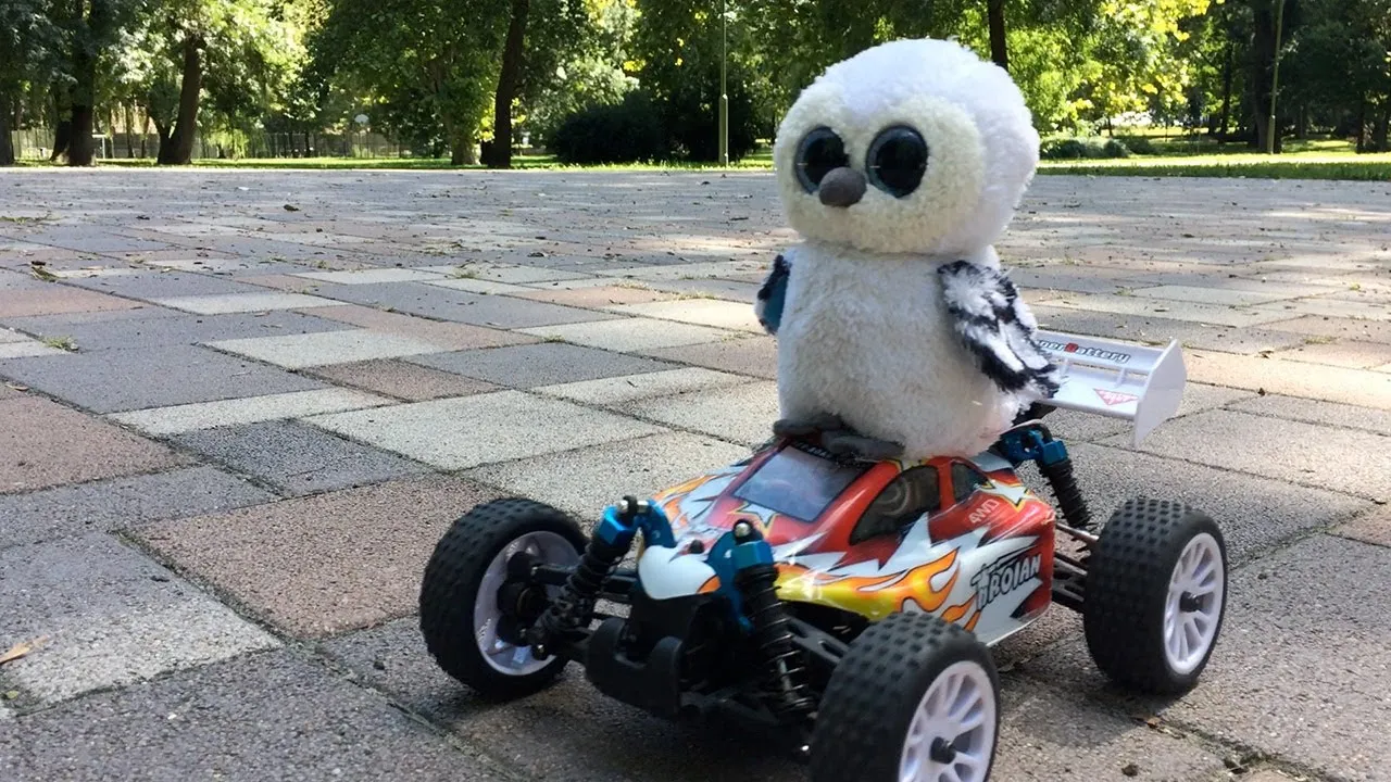 Freaky Owl Rc Escape
