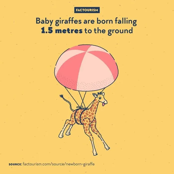 30 Random Facts About The World That Might Change Your Perspective On Certain Things, By Factourism (New Pics)