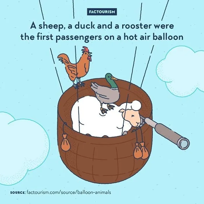 30 Random Facts About The World That Might Change Your Perspective On Certain Things, By Factourism (New Pics)