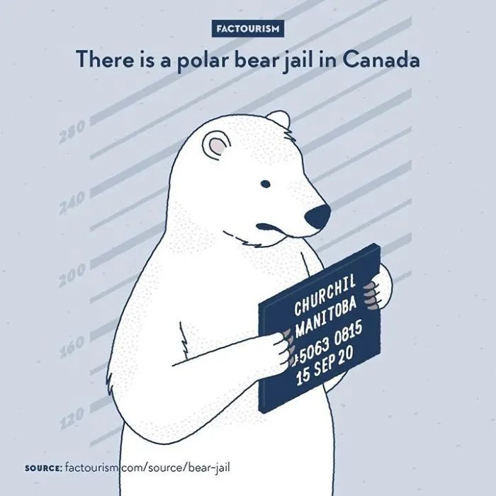 30 Random Facts About The World That Might Change Your Perspective On Certain Things, By Factourism (New Pics)